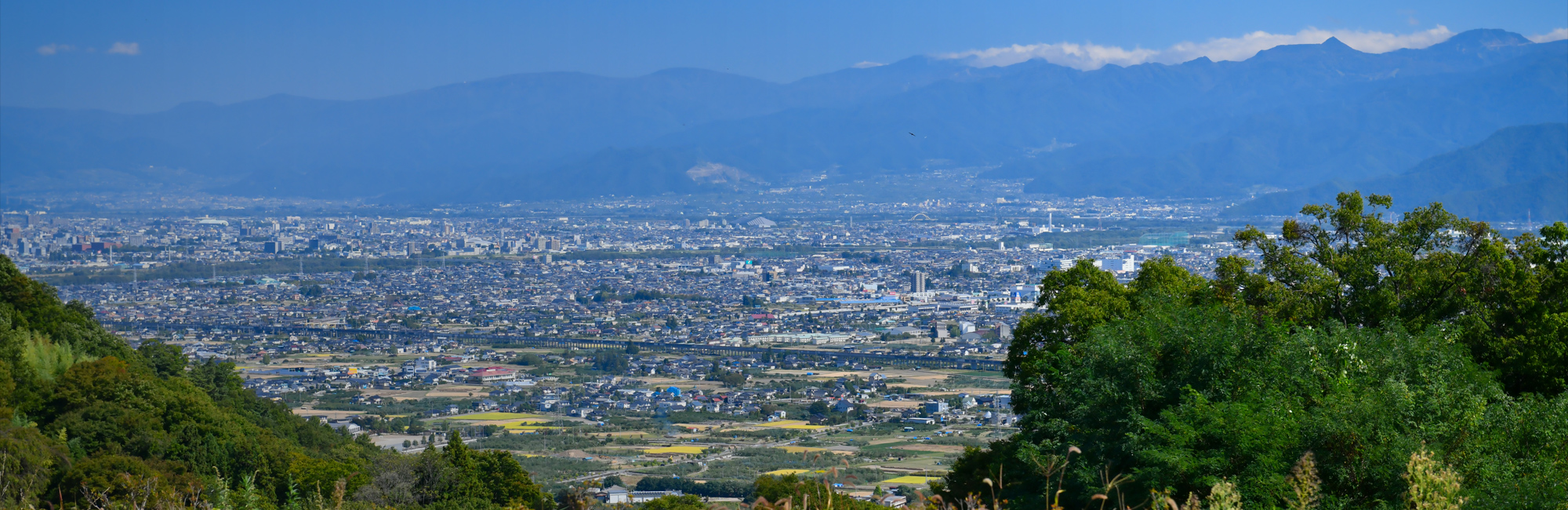 有限会社信濃製菓